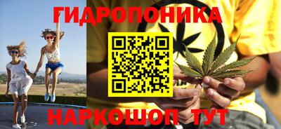 a pvp Можга