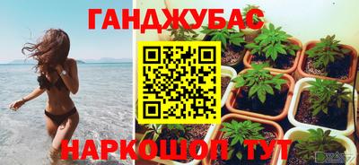 a pvp Можга
