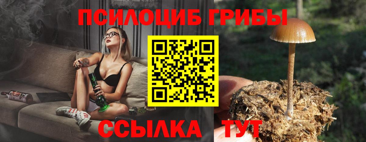 Галлюциногенные грибы GOLDEN TEACHER Строитель