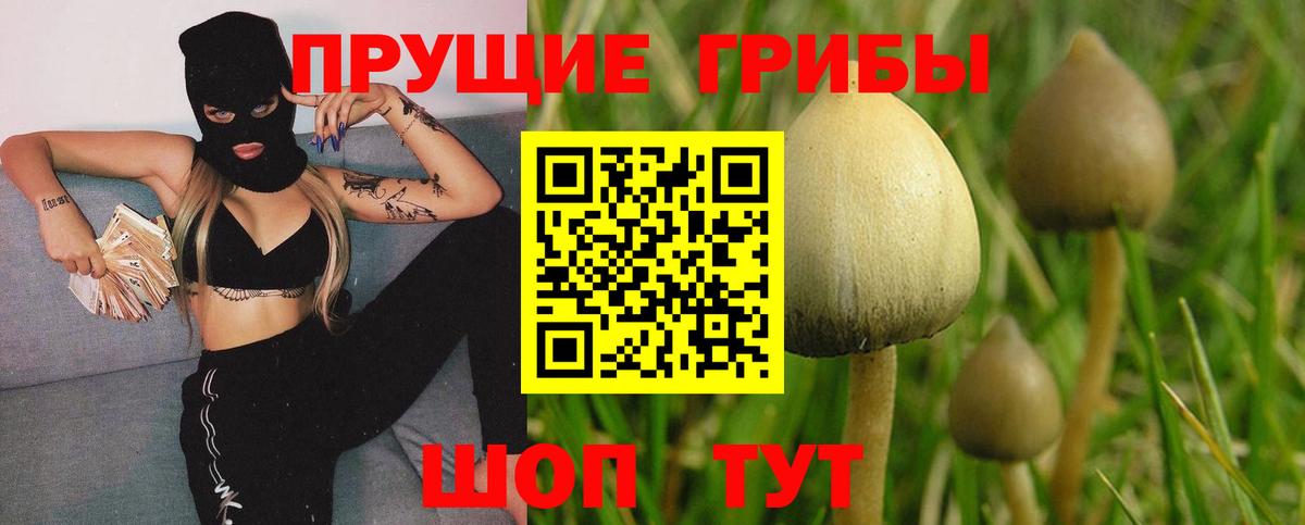 Галлюциногенные грибы ЛСД  продажа наркотиков  Галлюциногенные грибы Magic Shrooms  Строитель  Вход с VPN 